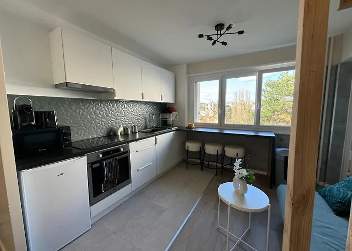 M049 Marquer Grand Joli T4 A Apartment Annemasse